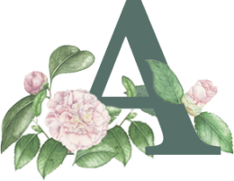 single-image-14 single-image-14